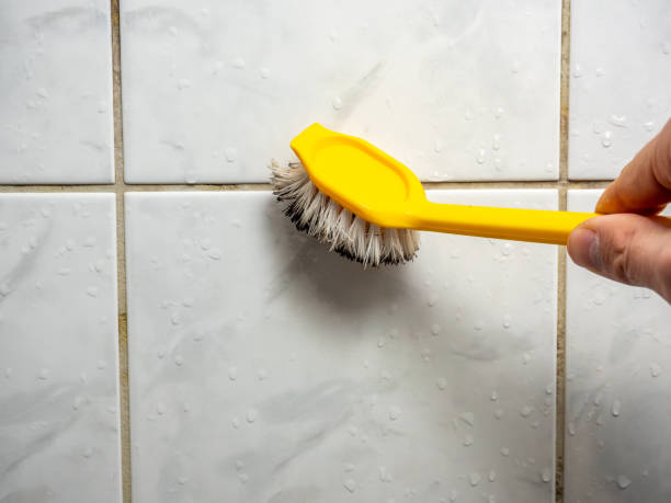 Best DIY Mold Remediation Support Services in Claymont, DE